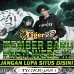 Tigerbet388 Slot Terbaru Bisa Dimainkan Lewat Smartphone
