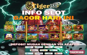 TigerBet388 Slot RTP Gacor Malam Ini Terbukti