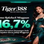 Tiger388 Slot QRIS Online Deposit Mudah Menang Cepat