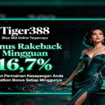 Tiger388 Slot APK Ovo Resmi Banyak Keuntungan